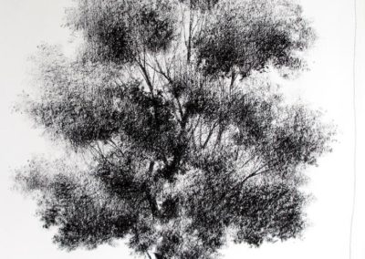 Dibujo 12
